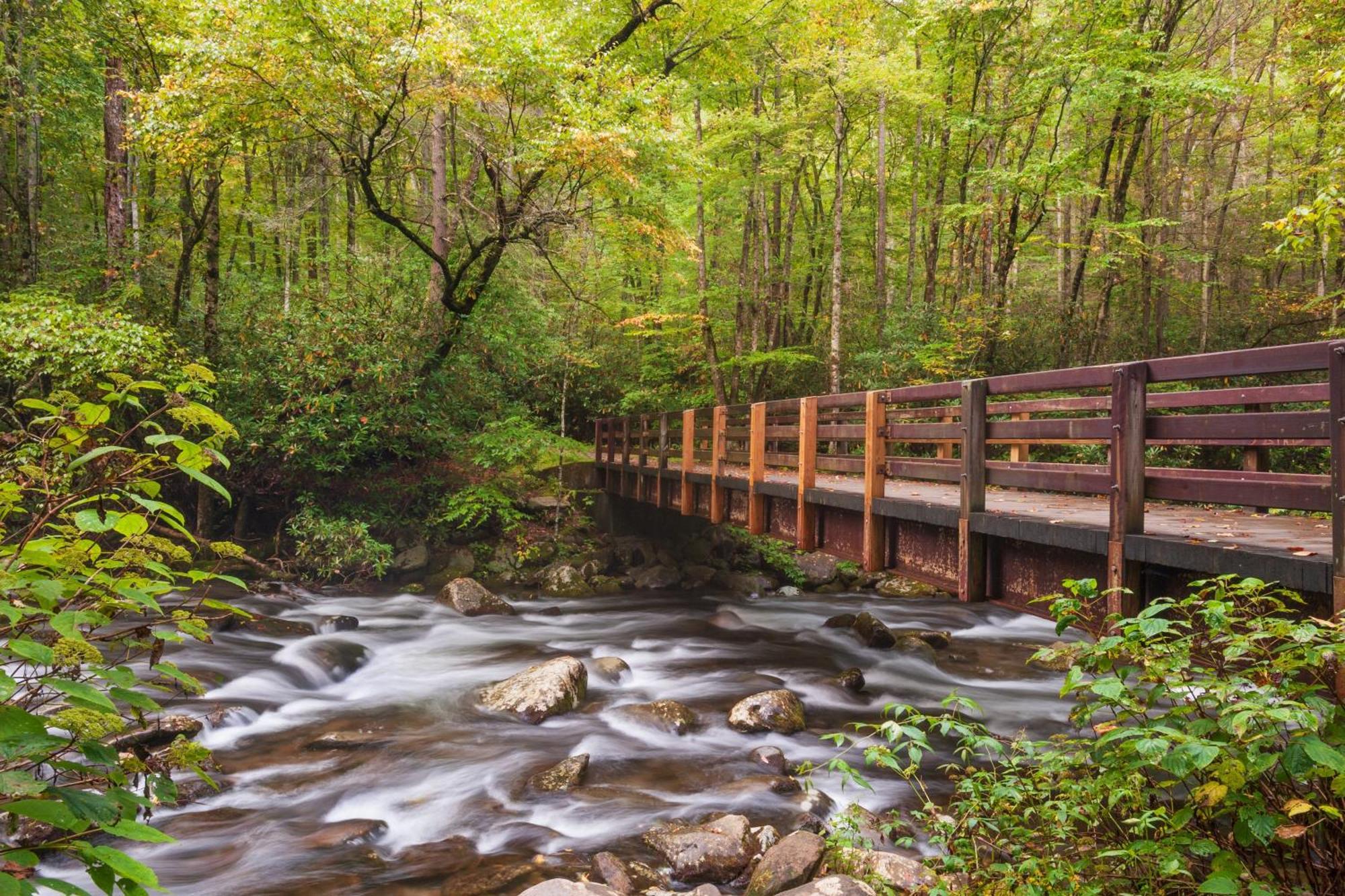 Smoky Bear Lodge With Guest House, Hot Tub, 1089 Free Tickets Each Paid Day, Dollywood And More 塞维尔维尔 外观 照片