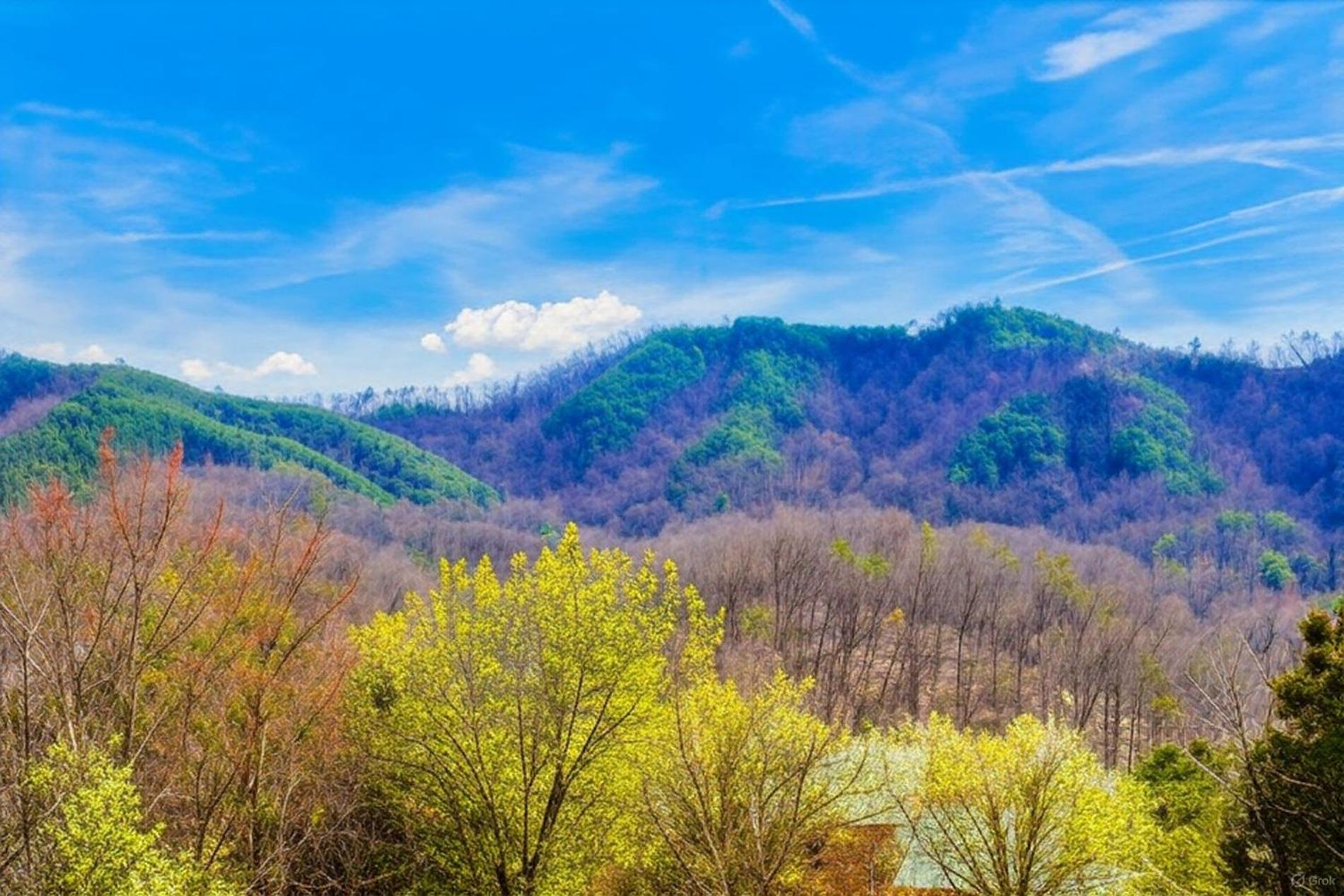 Smoky Bear Lodge With Guest House, Hot Tub, 1089 Free Tickets Each Paid Day, Dollywood And More 塞维尔维尔 外观 照片
